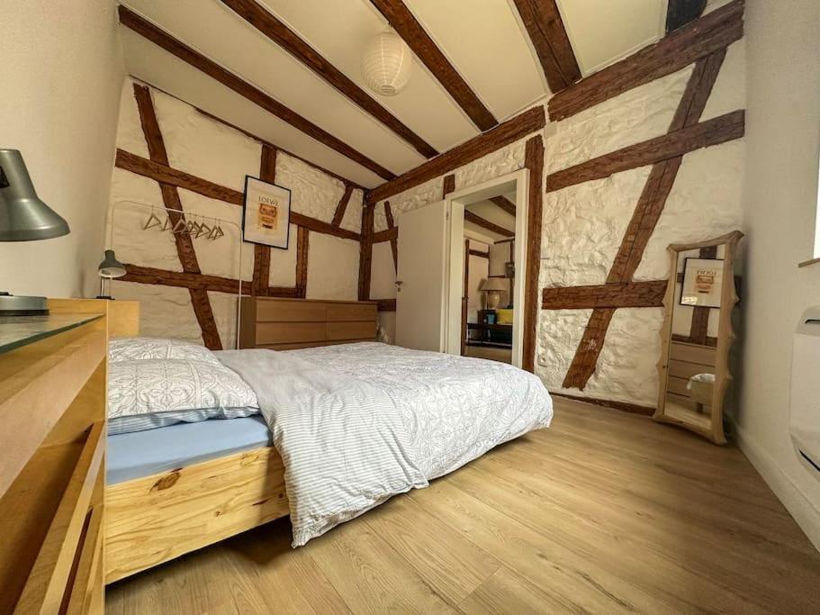 Nouvel Appartement, Le Colombage Heureux Sélestat Kültér fotó