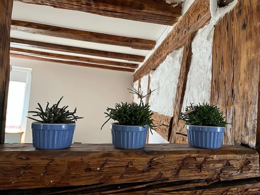 Nouvel Appartement, Le Colombage Heureux Sélestat Kültér fotó