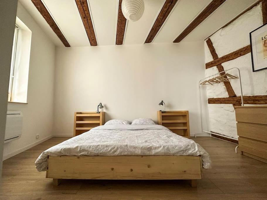 Nouvel Appartement, Le Colombage Heureux Sélestat Kültér fotó