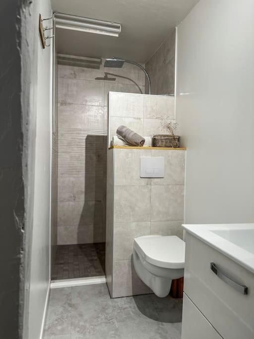 Nouvel Appartement, Le Colombage Heureux Sélestat Kültér fotó
