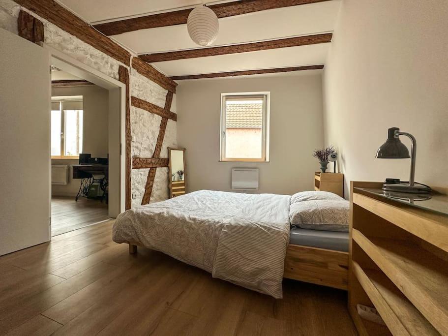 Nouvel Appartement, Le Colombage Heureux Sélestat Kültér fotó