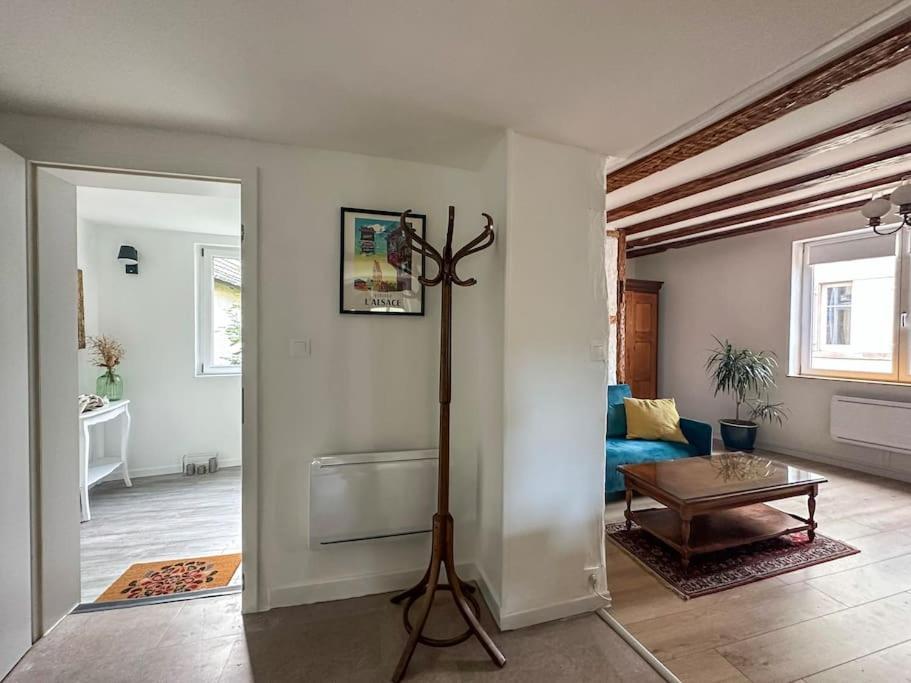 Nouvel Appartement, Le Colombage Heureux Sélestat Kültér fotó